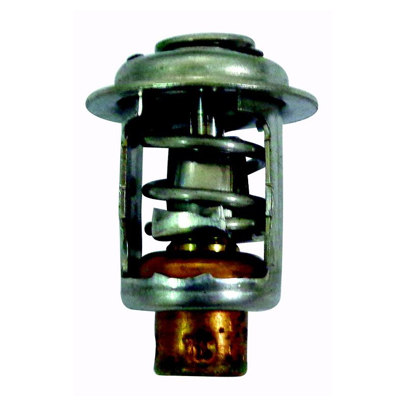 thermostat pour johnson evinrude 115/175cv Offshore services