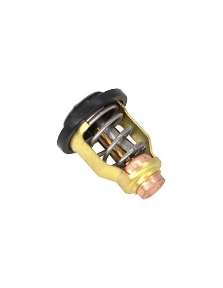 thermostat suzuki d'origine