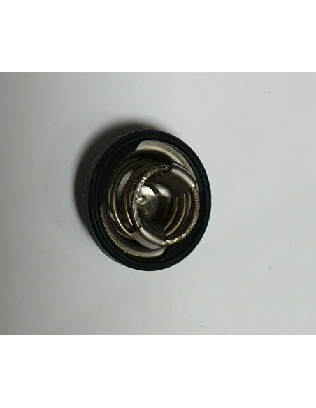 clapet de pression d'eau suzuki d'origine