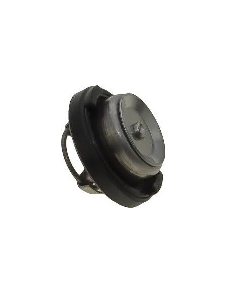 clapet pression d'eau suzuki d'origine DF90/115