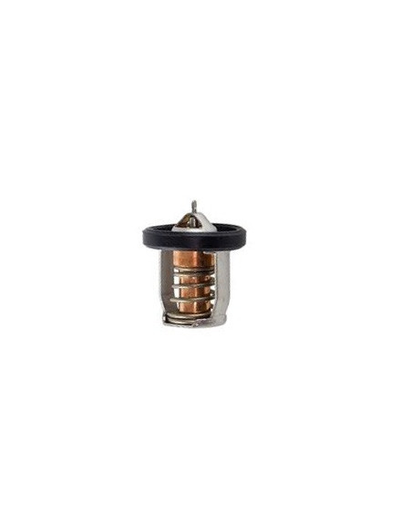 thermostat suzuki d'origine de DF8 à DF30