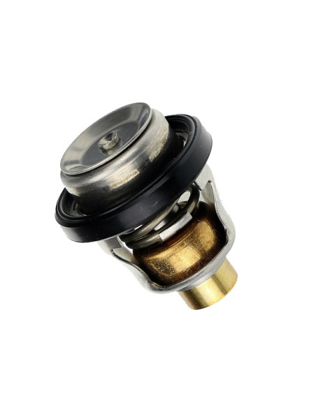 thermostat 60° suzuki d'origine DF9.9 à DF70 et DT9.9 à DT40