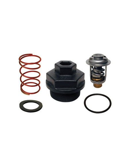 kit thermostat 40/250CV