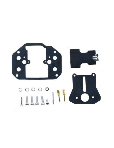 kit carburateur pour yamaha E40 de 2003 et pour mercury mariner W40