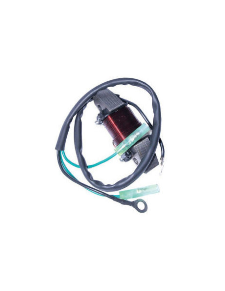 bobine d'éclairage pour yamaha E40/40X-M de 98 et + - 2 temps