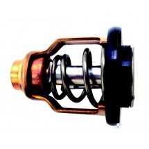 thermostat F75 / F250