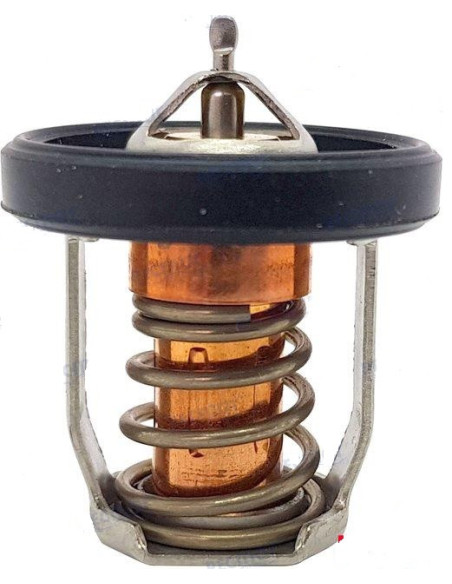 thermostat 50° pour johnson evinrude 2/4/5cv 4 temps