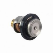 thermostat 60° pour johnson evinrude de 10 à 70cv 4 temps