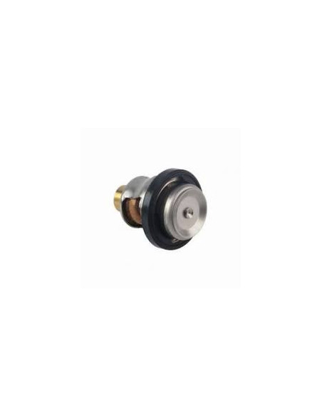thermostat 60° pour johnson evinrude de 10 à 70cv 4 temps