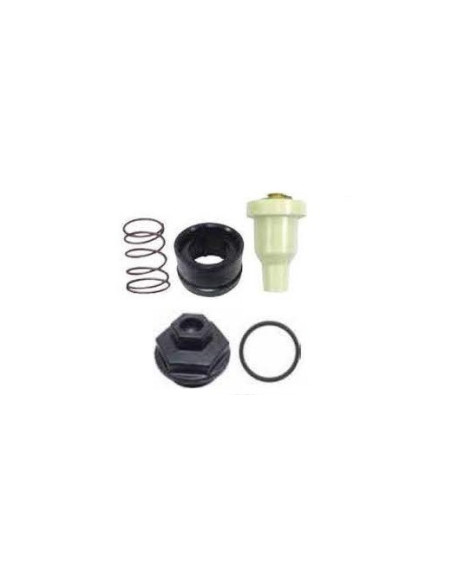 kit thermostat pour johnson evinrude 143° V4/V6