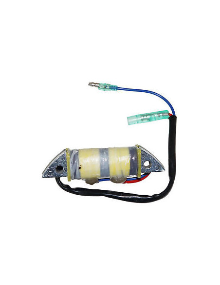 bobine  de charge pour mercury mariner de 9.9 à 30cv 2 cyl 2 temps