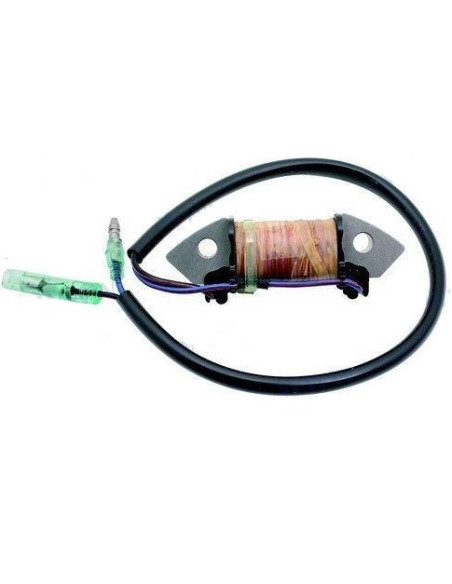 bobine d'allumage pour mercury mariner 8/9.9cv 4 temps