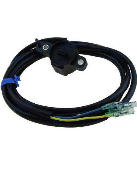 copy of moteur de trim 200/250cv