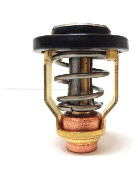 thermostat 50° pour mercury mariner 115cv EFI 4 temps