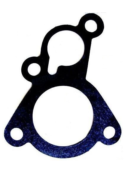 copy of thermostat 9.9 / 55CV