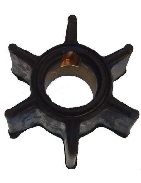 turbine pour mercury 3.9/6cv 2 temps