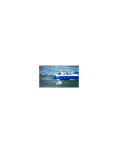 système de propulsion vaquita