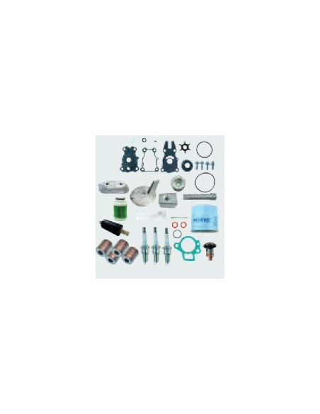 copy of kit entretien pour yamaha F2.5 A de 2002 à 2014