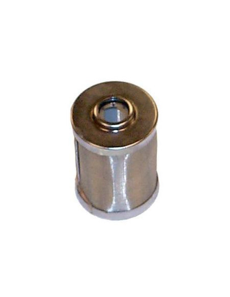 filtre à essence V6 / 3.1L