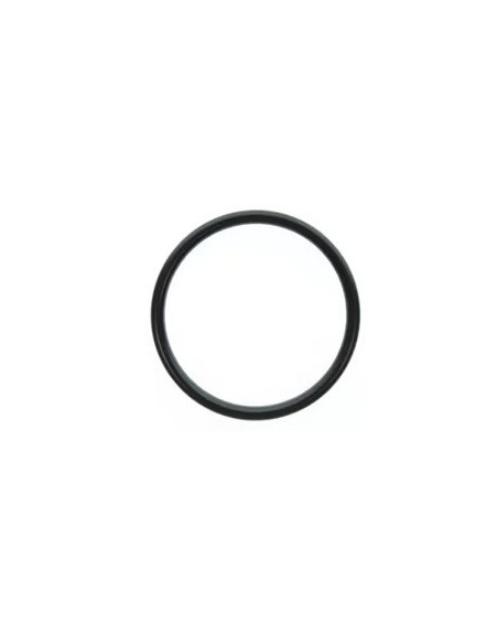 o-ring fuel filter