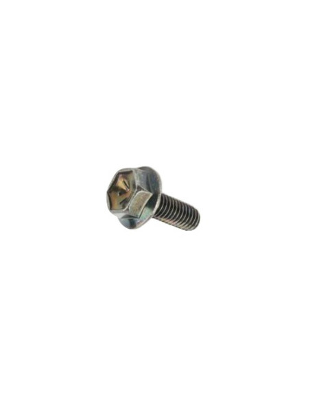 boulon 6 x 25
