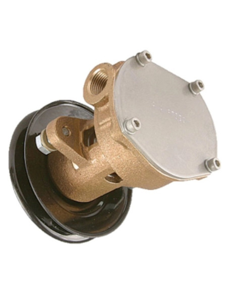 pompe à eau pour kohler ford