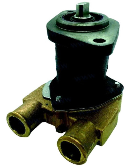 pompe à eau de mer pour onan 6.5/10kw
