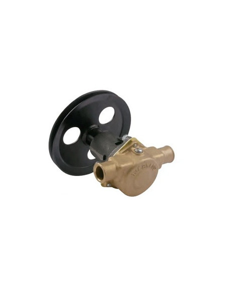 pompe à eau de mer pour pleasurecraft 302 et 351