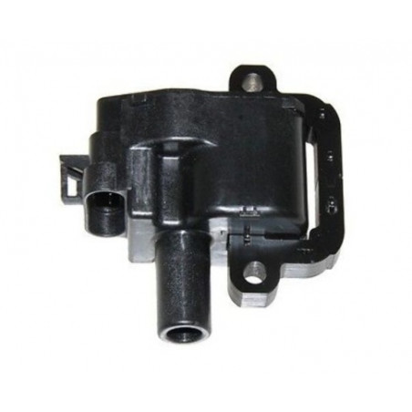 Bobine d'allumage compatible avec Echo remplace A411000252