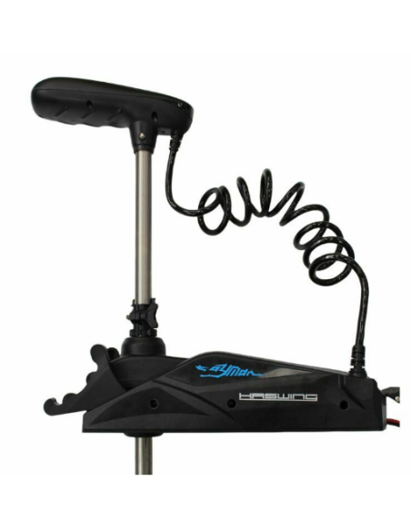 moteur électrique Pulsar 36v GPS 250cm noir / Haswing cayman-B 120Lbs  HE50738-250B