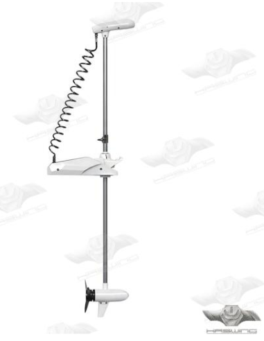 copy of Moteur électrique Haswing / Pulsar GPS 24volts 80 Lbs 250 cm noir HE50739B250
