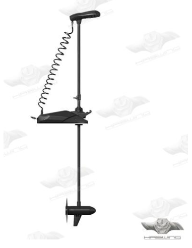 Moteur électrique  Pulsar GPS 24 volts 80 Lbs 250 cm 183cm noir HE50739