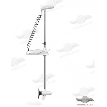 Moteur électrique  Pulsar GPS 24 volts 55 Lbs 156 cm noir HE50736