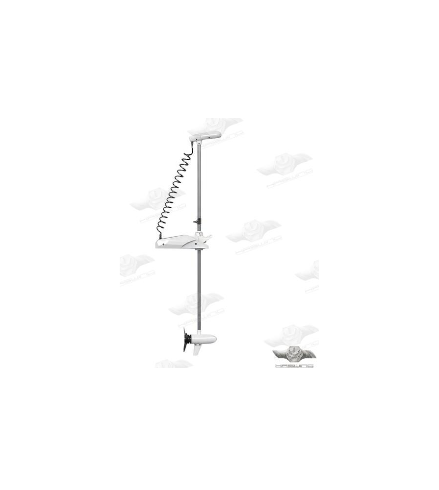 Moteur électrique  Pulsar GPS 24 volts 55 Lbs 156 cm noir HE50736