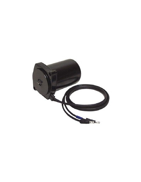 moteur de trim 115/2.5L DFI / 250/3.0L EFI