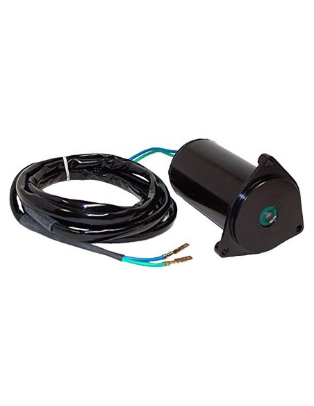 moteur de trim 2.5L / 3.0L de 79 à 85