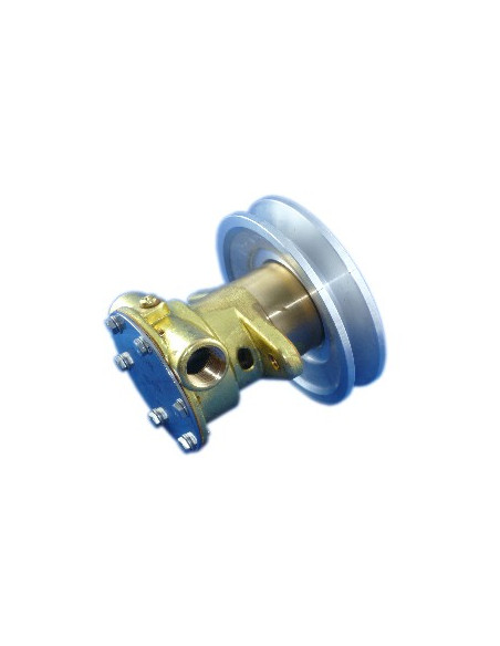 pompe à eau de mer pour yanmar 2GM/2GM20/3GM/3GM30