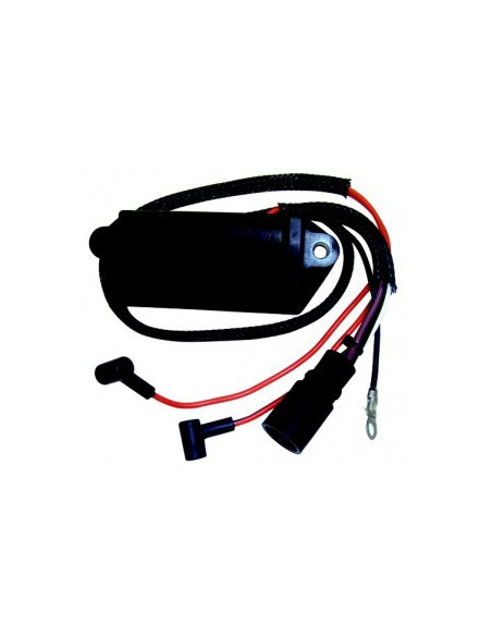 boitier électronique pour johnson evinrude 4 à 60cv - 2 cyl