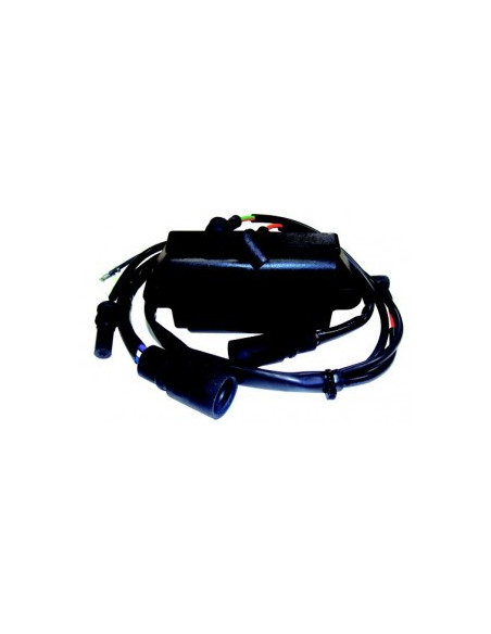 boitier électronique pour johnson evinrude 150/155cv - 6 cyl
