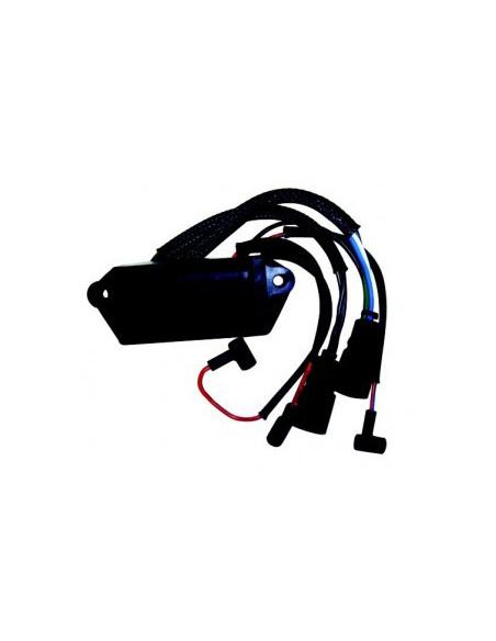 boitier électronique pour johnson evinrude 65 com 3cyl