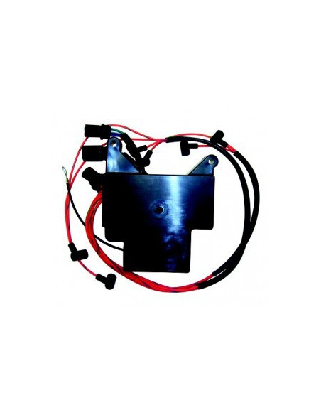 boitier électronique pour johnson evinrude 150/175cv - 6 cyl