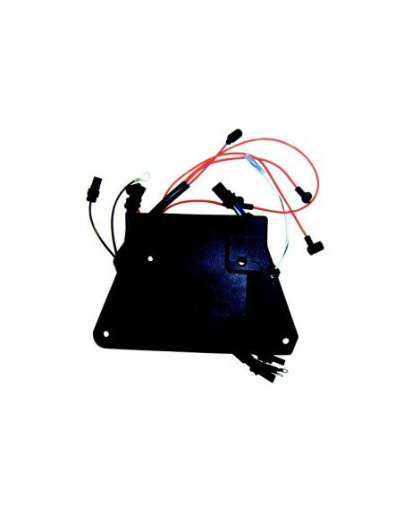 boitier électronique pour johnson evinrude 185/225cv - 6 cyl