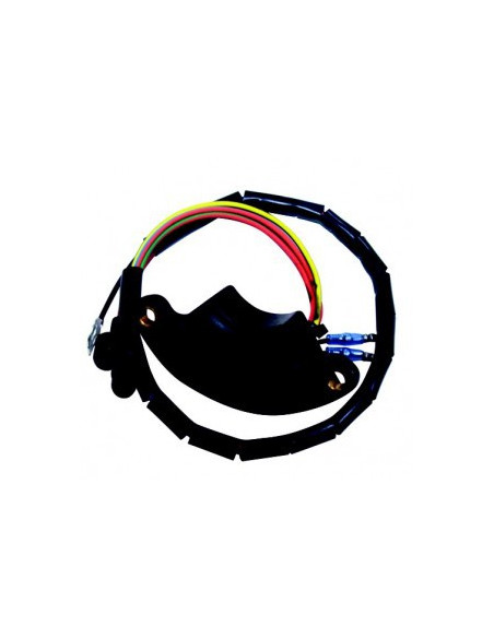 boitier électronique pour johnson evinrude 5 à 15cv - 2 cyl