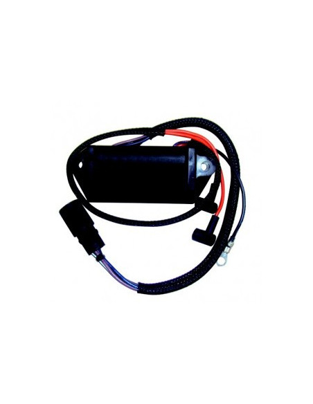 boitier électronique pour johnson evinrude de 9.9 à 15cv - 2 cyl
