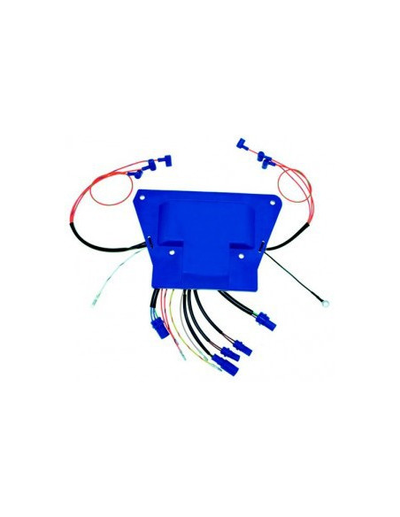 boitier électronique  pour johnson evinrude de 185 à 250cv