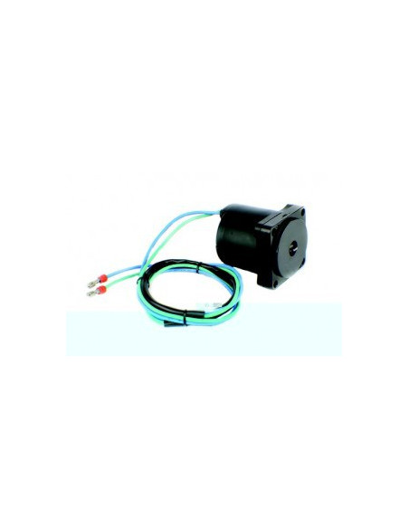 moteur de trim