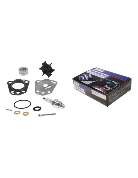 kit entretien suzuki DF2.5