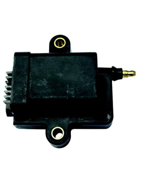 bobine pour mercury mariner  110 à 250cv