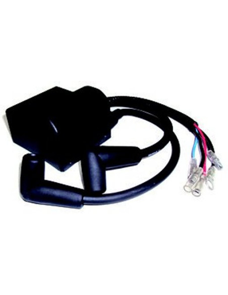 bobine pour suzuki 25 / 30CV