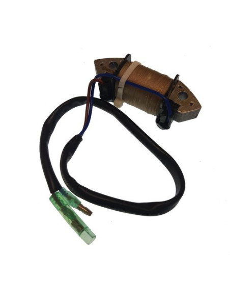 bobine 2.5 / 3.5cv